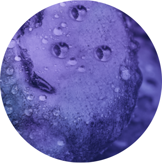 VEEV ONE Blueberry pod s e-tekućinom